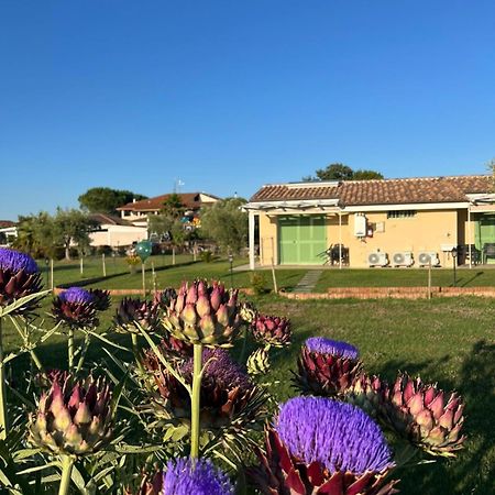 Il Giardino Di Nunzia Villa Principina Terra Eksteriør bilde