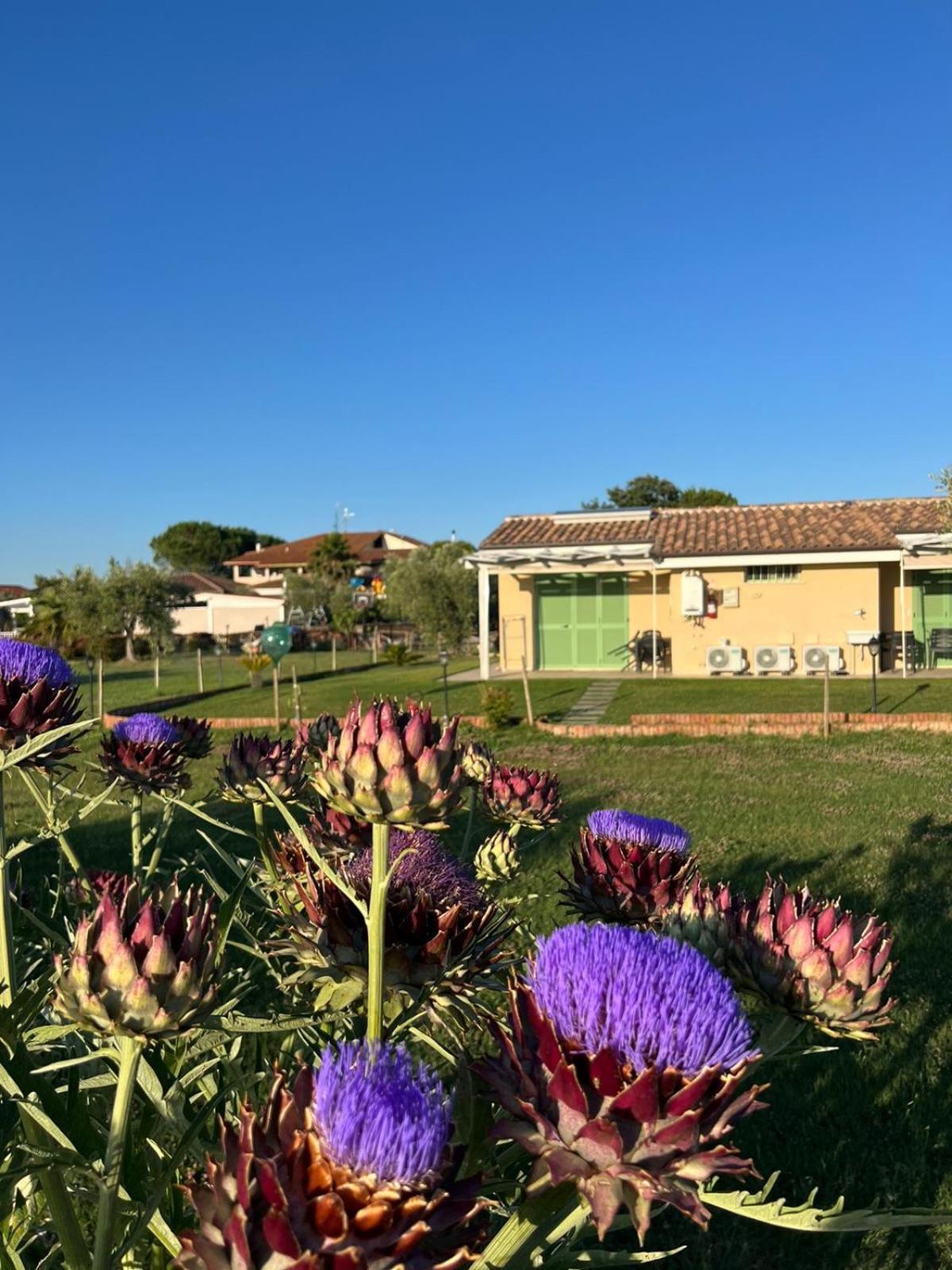 Il Giardino Di Nunzia Villa Principina Terra Eksteriør bilde